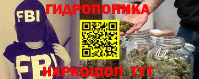 ALPHA PVP Камышлов