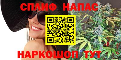 крисы Кандалакша
